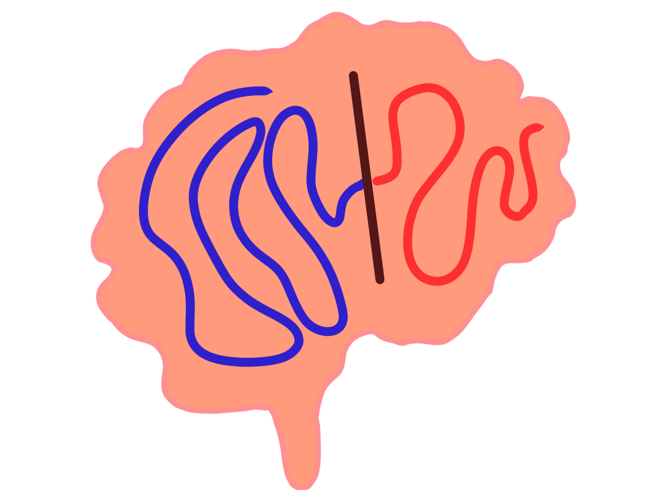 A very simple drawing of a brain. In the middle of the brain is a dark red vertical line on the left side of the vertical line is a bright blue wiggly line the line ends at the vertical line and on the other side is a shorter bright red wiggly line